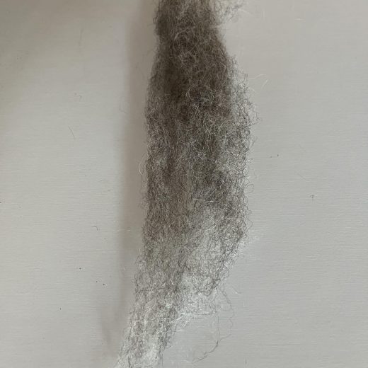 Jacob's wool (1)