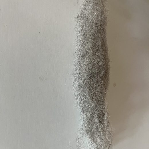 Jacob's wool