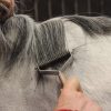 Smart Mane