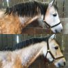 SmartManesArchiebeforeandafter