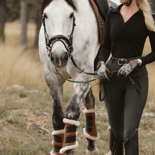 Horses