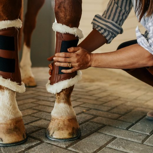 16C-BB-C-sixteen-cypress-tendon-boots-cognac-fleece7