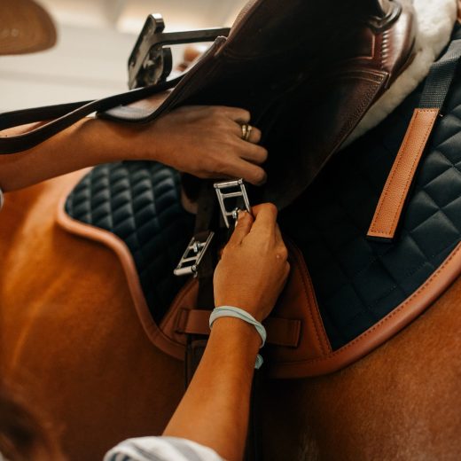16C-CC-BL-C-sixteen-cyress-classic-jump-pad-black-cognac2