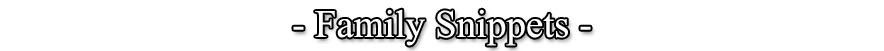 Family Snippets Banner