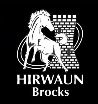 Hirwaun RFC