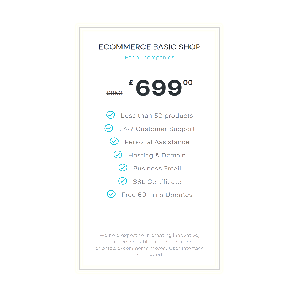 Ecommerce Website