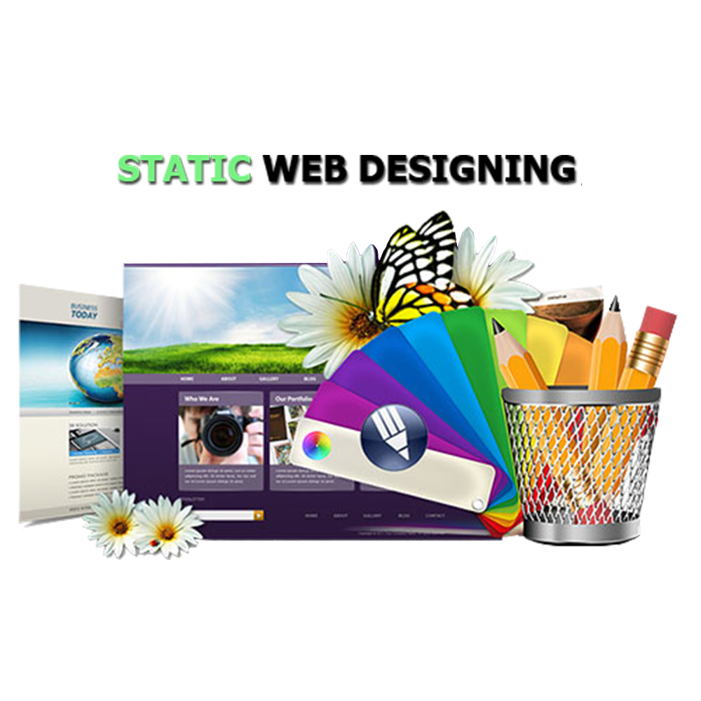Static Website Design WebsiteDOM
