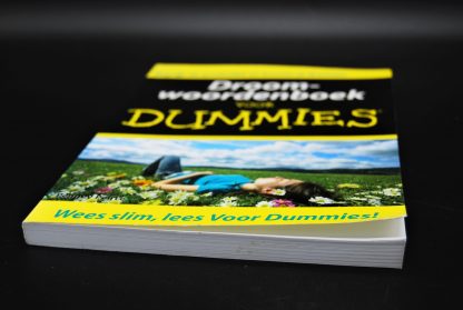 Droomwoordenboek voor Dummies-Penney Peirce