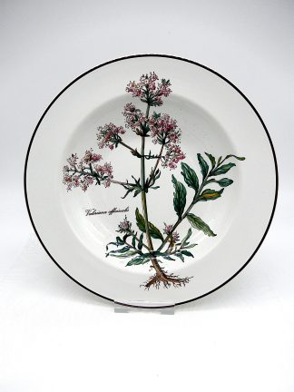 Bord Valeriana Officinalis 22cm Villeroy & Boch