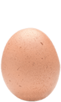 L'Eggstra Verrassingsei Heren schuifarmband Para