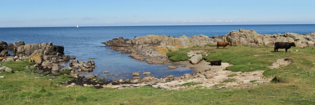 Hammeren im Norden von Bornholm - @ Wolfgang Schwartz