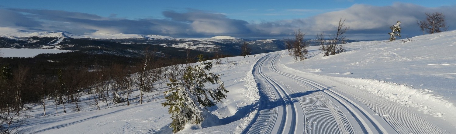 Loipe auf dem Valsfjell bei Gala,  im Hintergrund Jotunheimen - @ Wolfgang Schwartz