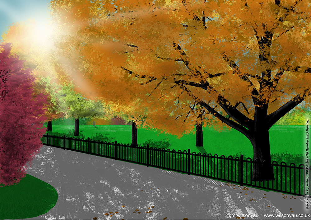 Trees covdred in orange leaves next to an empty path, sun is shining through the trees brightly causing heavy shadows on the path.