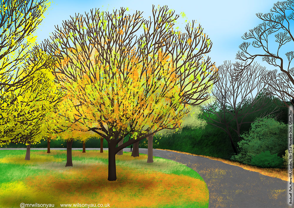 A group of trees covered in yellow leaves and with some bare branches, a curved path runs to the right of the trees, against a blue sky.