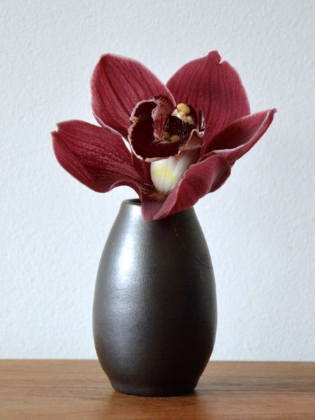 Flower in vase