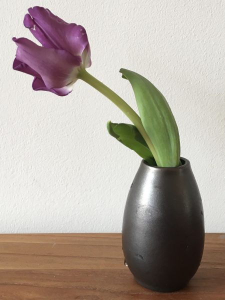 Tulip