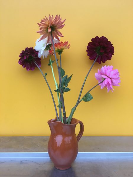 Still-life with yellow wall