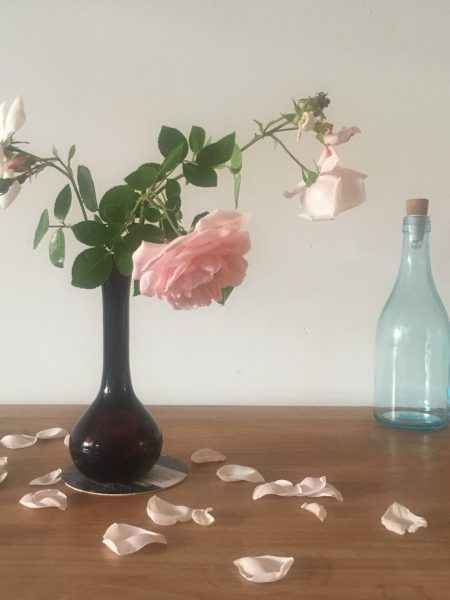 Still life with roses