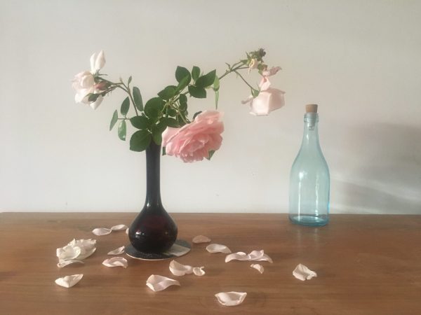 Still life with roses