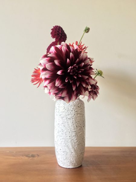 Still-life with dahlia