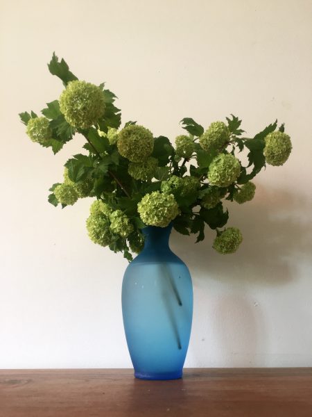 Still life with green flowers