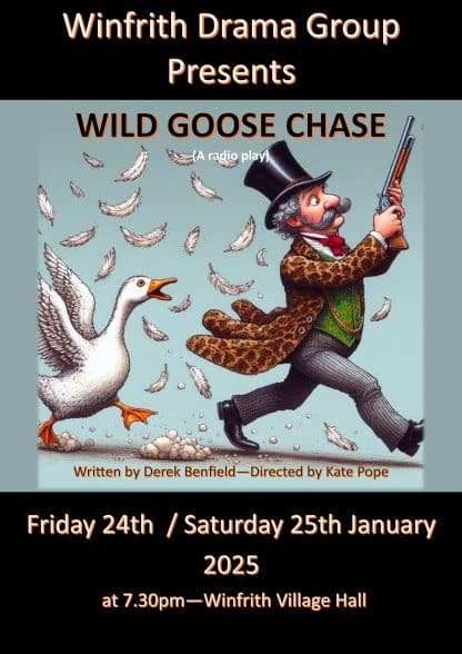 Wild Goose Chase