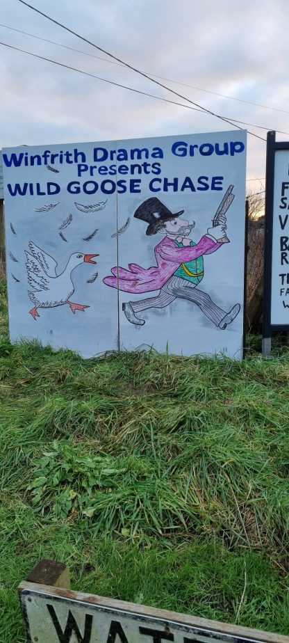 Wild Goose Chase - Image 2