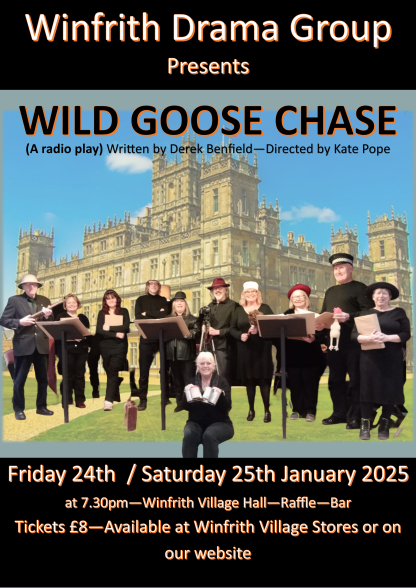 Wild Goose Chase - Image 3