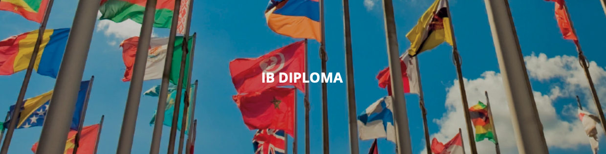 Featured image for “IB Diploma revision resources”