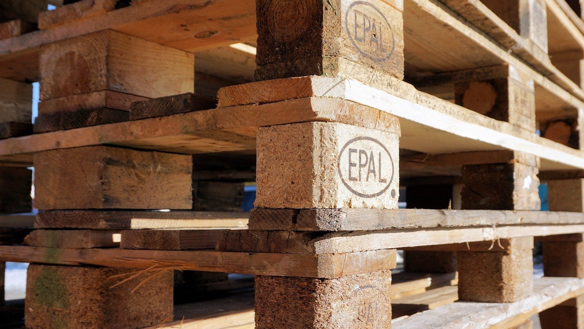 Pallets woodpacker