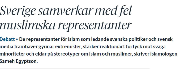 Sameh Egyptson: Sverige samverkar med fel islam
