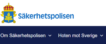 Egyptson: Falskt anklagad att vara informant till SÄPO