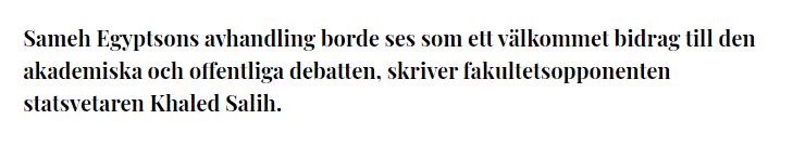 Fakultetsopponenten: Egyptsons avhandling ger utomordentlig inblick i aktivisternas värld
