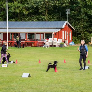 Rallylydnad Fortsättning Ons 18.00 26/8