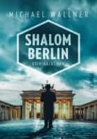 Michael Wallner Shalom Berlin