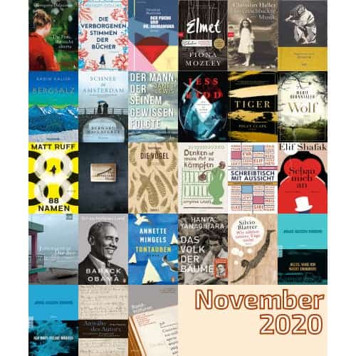 Buchneuerscheinungen November 2020