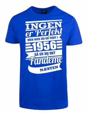 ingen er perfekt tshirt