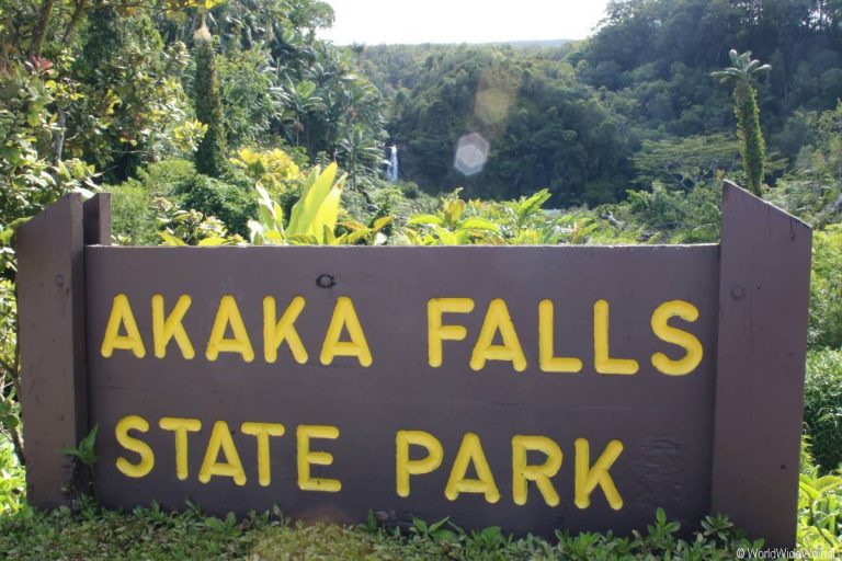 Big Island 175- Akaka Falls State Park