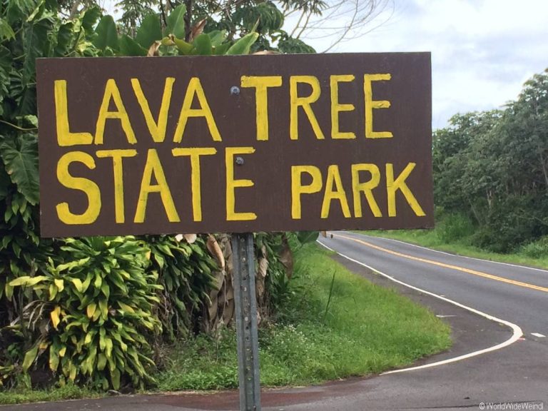 Big Island 203- Lava Tree State Park