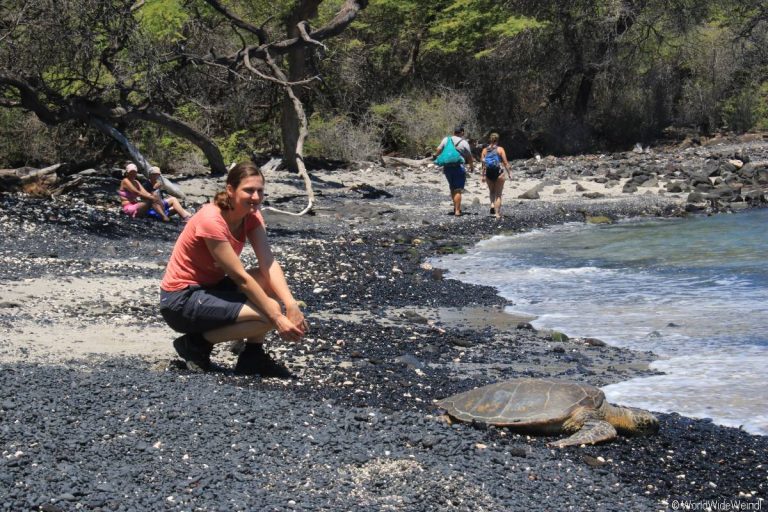 Big Island 615- Kiholo Bay