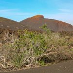 Lanzarote 472, Nationalpark Timanfaya, Wanderung zur Caldera Temensana