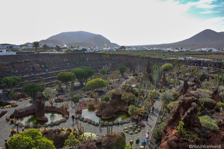 Lanzarote 959, Jardin de Cactus