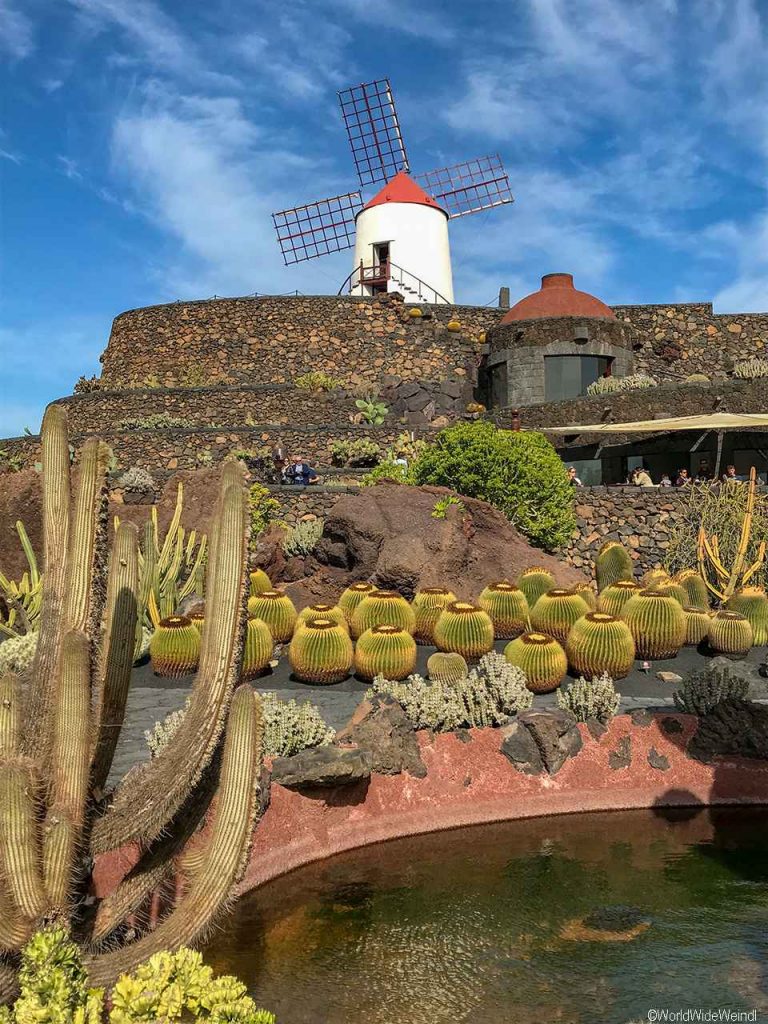 Lanzarote 983, Jardin de Cactus