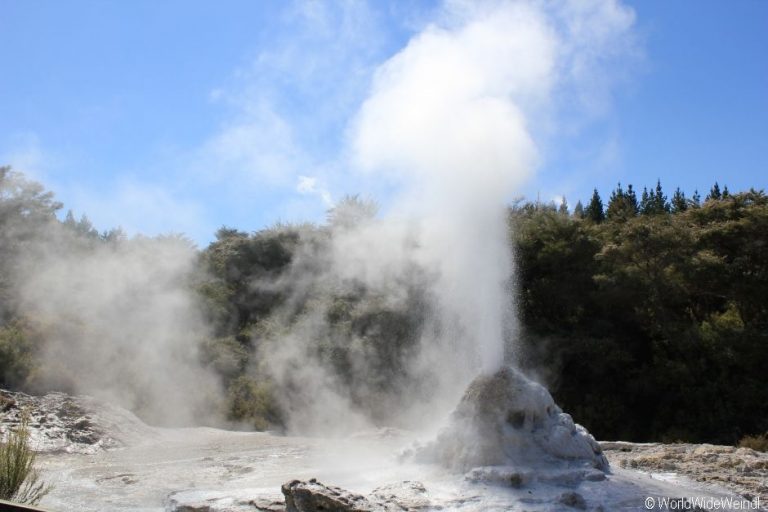 Neuseeland Nordinsel, Lady Knox Geysir