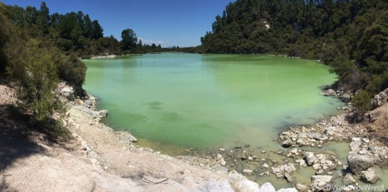 Neuseeland Nordinsel, Lake Ngakoro: ein grüner Kratersee
