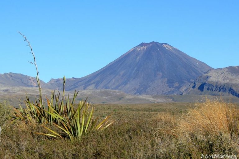 Neuseeland Nordinsel, „Schicksalsberg“ Mount Ngauruhoe