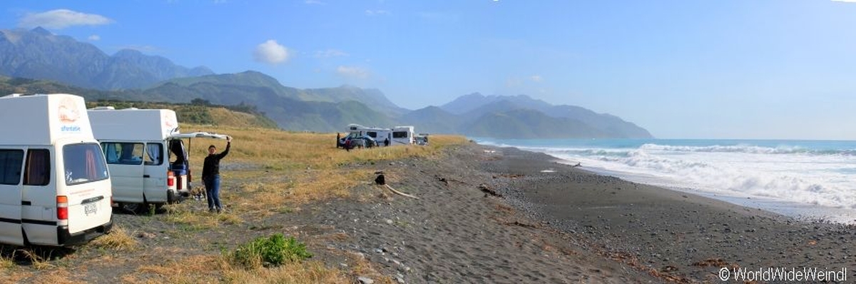 Neuseeland Nordinsel, Camping Meat Works