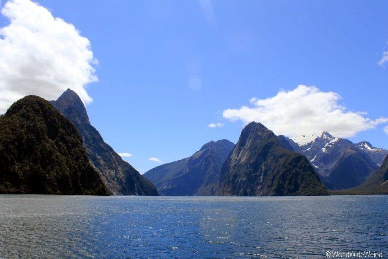 Neuseeland Südinsel, Milford Sound