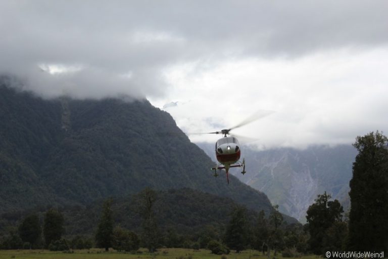 Neuseeland Südinsel, Fox Glacier