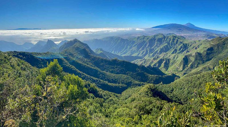 Teneriffa, Aussichtspunkt Mirador Pico del Inglés